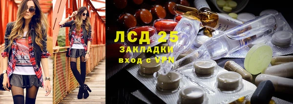 прущие грибы Абдулино