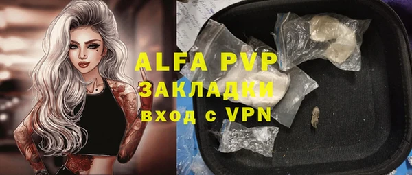 прущие грибы Абдулино