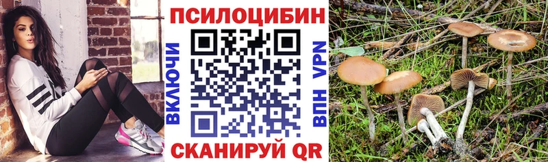 Галлюциногенные грибы мухоморы  Александровск-Сахалинский 